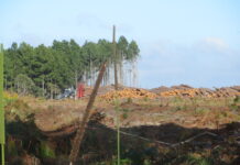 It’s a bountiful harvest for region