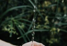 Council cancel fluoridation