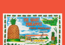 Soak up the history of Gympie