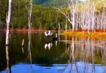 Why Joh rejected original Mary dam