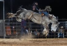 Support Jessie’s rodeo dream