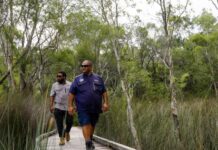 Planned burn in Great Sandy National Park