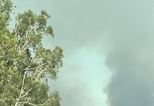 Two fires on the Cooloola Coast