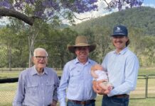 Family celebration attracts 4 generations