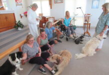 ‘God bless the animals’