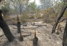 Fire emergency ends at Coast