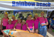 Home team nippers hold heads high