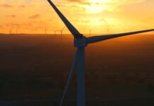 ‘Scrap Forest Wind’ call