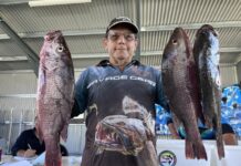 Successful 2024 season wrap up