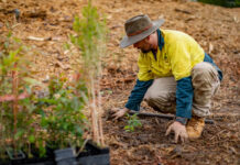 Over $311k granted to Gympie groups