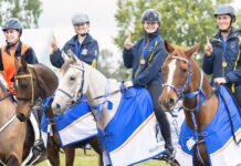 Resilience, enthusiasm