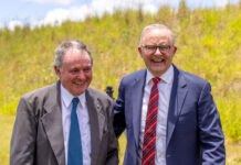 Mates forever – Albo and ambo have permanent bond