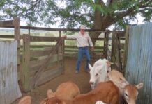 Gympie schools win ag industry praise