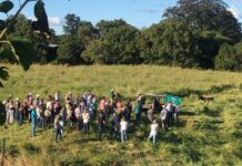 Every season has a reason