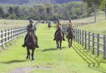 Endurance riding a sport for all