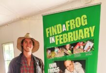 Find a frog in February