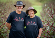 Big Rosella Field Days celebrates 10 years
