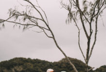 From Rainbow Beach to British Vogue