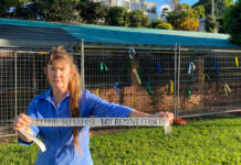 Fight continues over Memorial Park