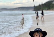 School of Juniors catch schools