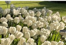 Your spring to-do list