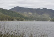 Amy snags 11% of haul in SIPS comp