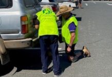 Plate thieves locked out