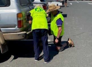 Plate thieves locked out