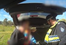 Brooloo incident highlights statewide road blitz