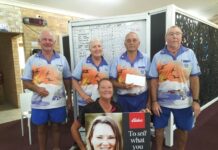 Lawn stars shine brightly