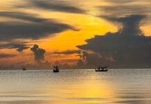 Photography club learns, shares