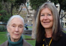 Renouned animal defender’s Gympie connection