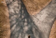 Successful sunrise run