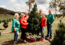 Farm fresh Christmas fun