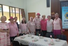 Lions prepare to paint town pink