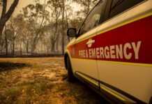 News snippets from across the region for the past week
