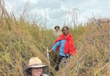 Symposium to discover K’Gari’s hidden worlds