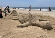 Sandcastle magic at Rainbow Beach