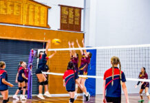 Perfect lead-up to Cup