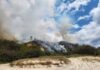 Campfire sparks Dunes grassfire