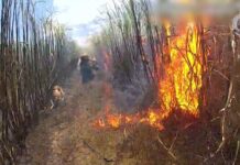 Gympie man in near-Mackay arson arrest