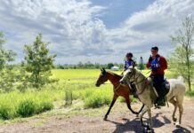 Sparkle in the skies