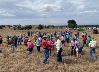 Land care spreading far and wide