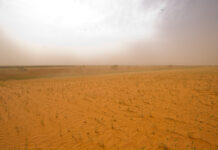 Drought: ‘The second best time to prepare is now’