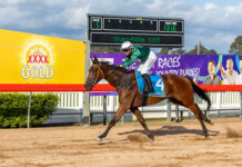 Light rain doesn’t deter punters
