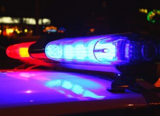 Cooroy local killed in crash