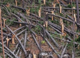 Aftermath – storm leaves devastation across region