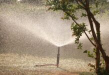 Feedback sought on SEQ water opportunities