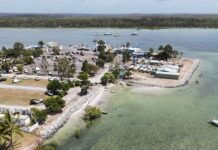Update on Snapper Creek State Boat Harbour