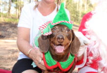 Parkrun has a special visitor